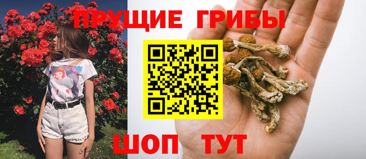 Галлюциногенные грибы ЛСД Рязань