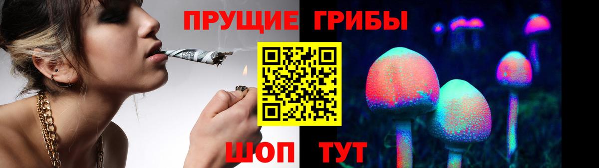Псилоцибиновые грибы Cubensis  Галлюциногенные грибы мухоморы  купить   Вход с VPN  Рязань 